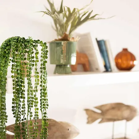 아파트 Puipana Precioso Con Piscina